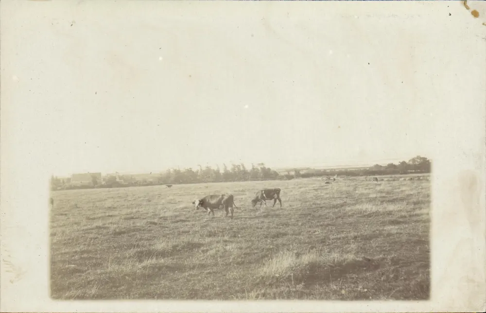 Landschaft aufgenommen in Franamp (Belgien) — Société J. JOUGLA — Paris - Vorderseite