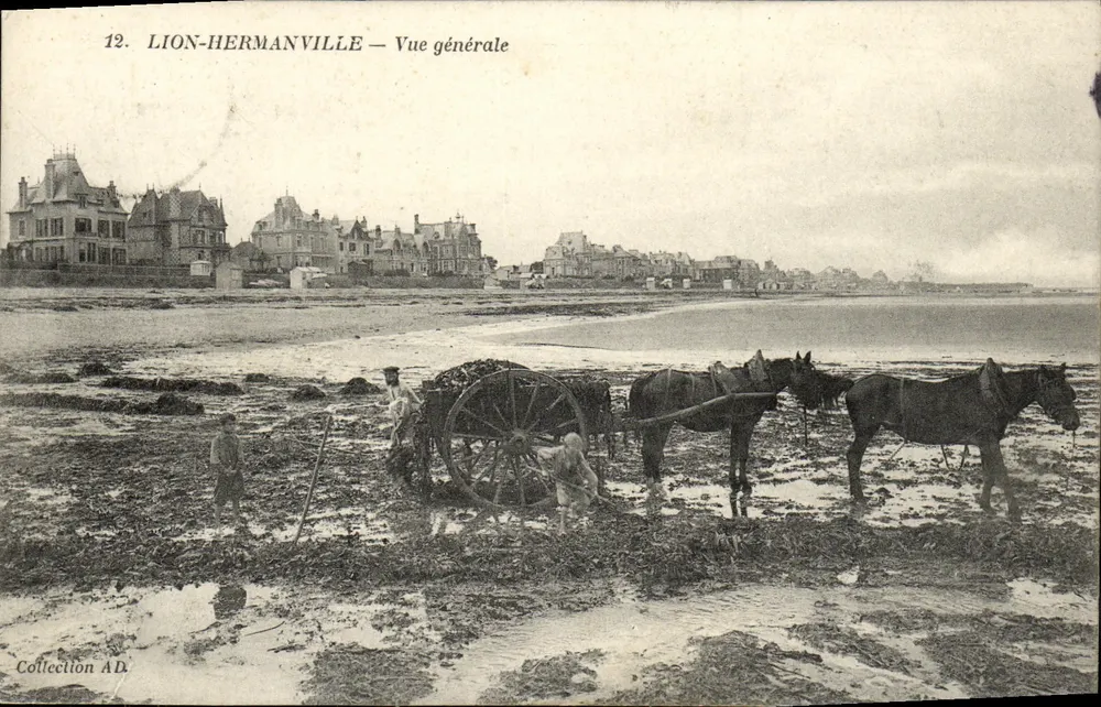 Lion-Hermanville — Allgemeiner Blick — Collection AD - Vorderseite