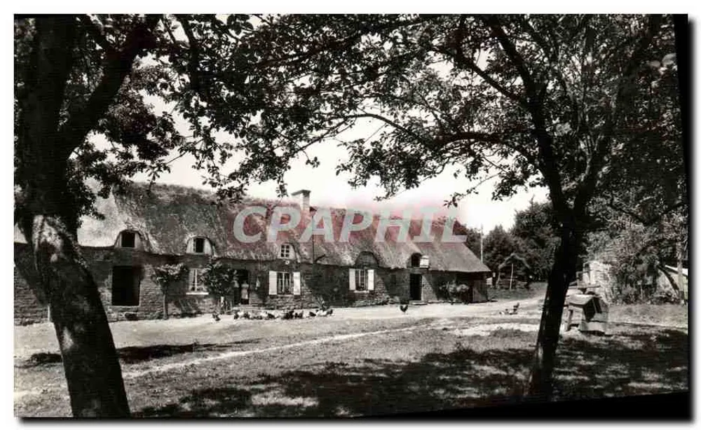 Hof der Cour — Montamby par Mesnil-Auzouf (Calvados) — Originalfotografie - Vorderseite