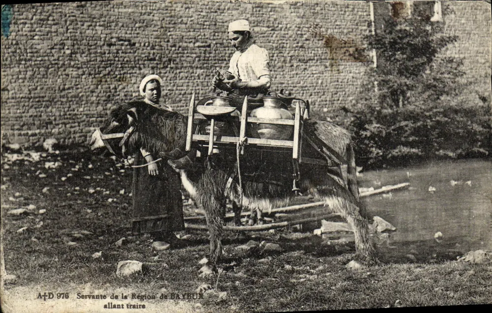 Magd aus der Region BAYEUX — Milchmelken — Verleger A. Dubost, Nr. 976 - Vorderseite