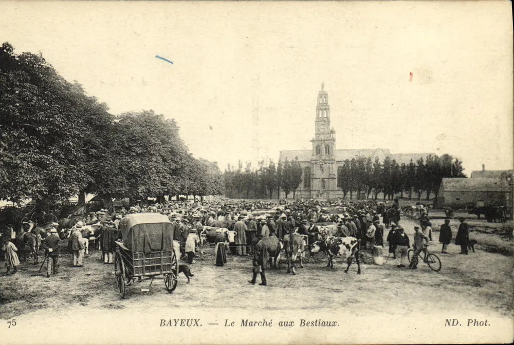 Bayeux — Der Viehmarkt — ND. Phot. - Vorderseite