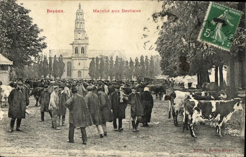 Bayeux — Viehmarkt — Edit. J. Robin, Bayeux - Vorderseite