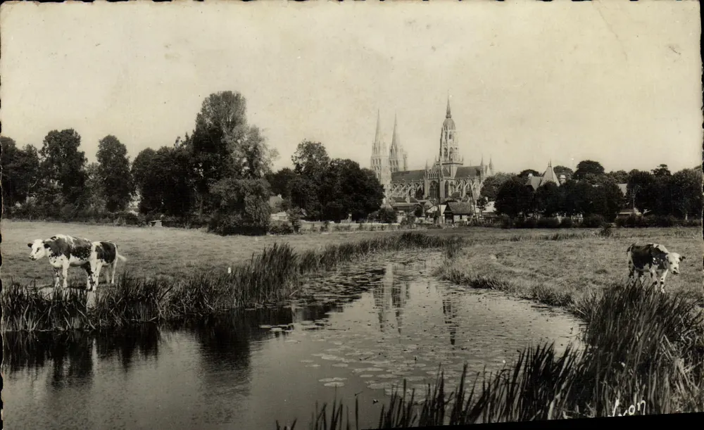 Bayeux — Cathédrale vue depuis un étang avec vaches — Les Éditions d'Art Jean Paris - Frente