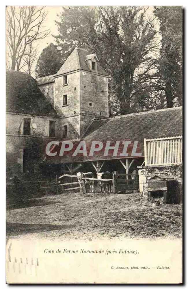 Ecke einer normannischen Farm (bei Falaise) — C. Jeanne, phot.-édit., Falaise - Vorderseite