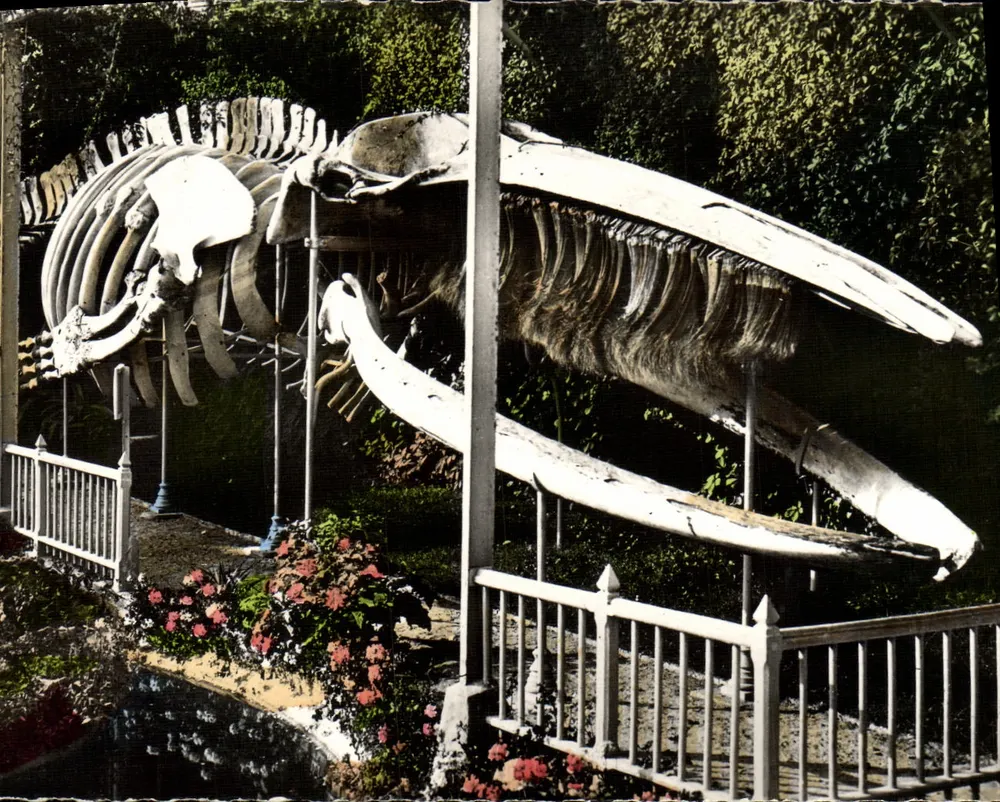 Walsklette — an der Stelle genannt « Moulin de Luc » — Éditions Gaby, Nantes - Vorderseite