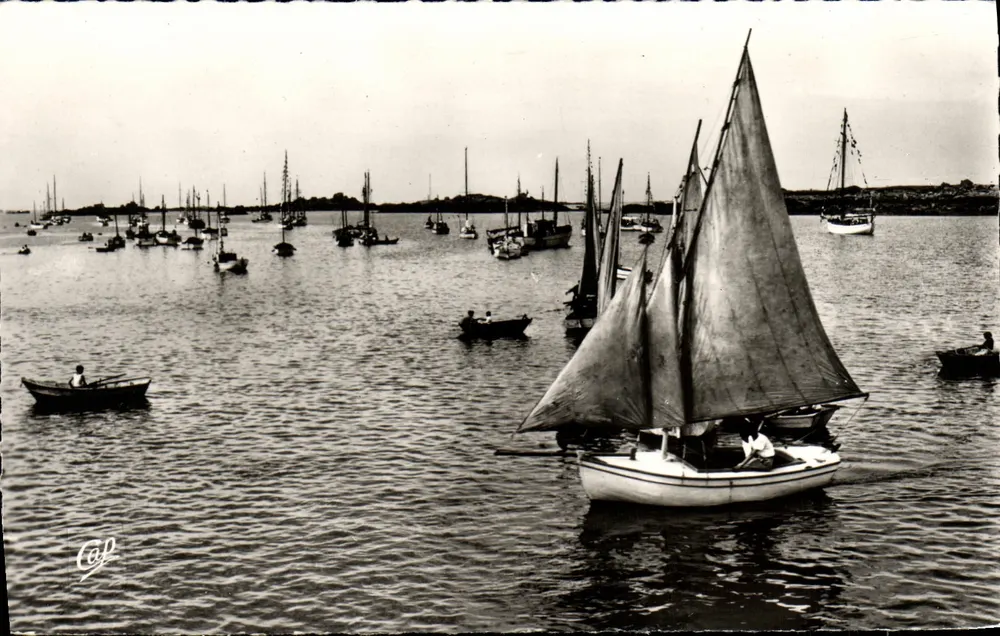 LUC-sur-MER — Porto com muitos pequenos barcos — editor REAL-PHOTO, n° PP 63 - Frente