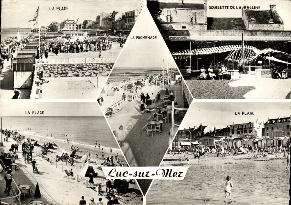 Luc-sur-Mer — Vista panorâmica da praia, passeio e esqueleto de baleia — Real Photo - Frente