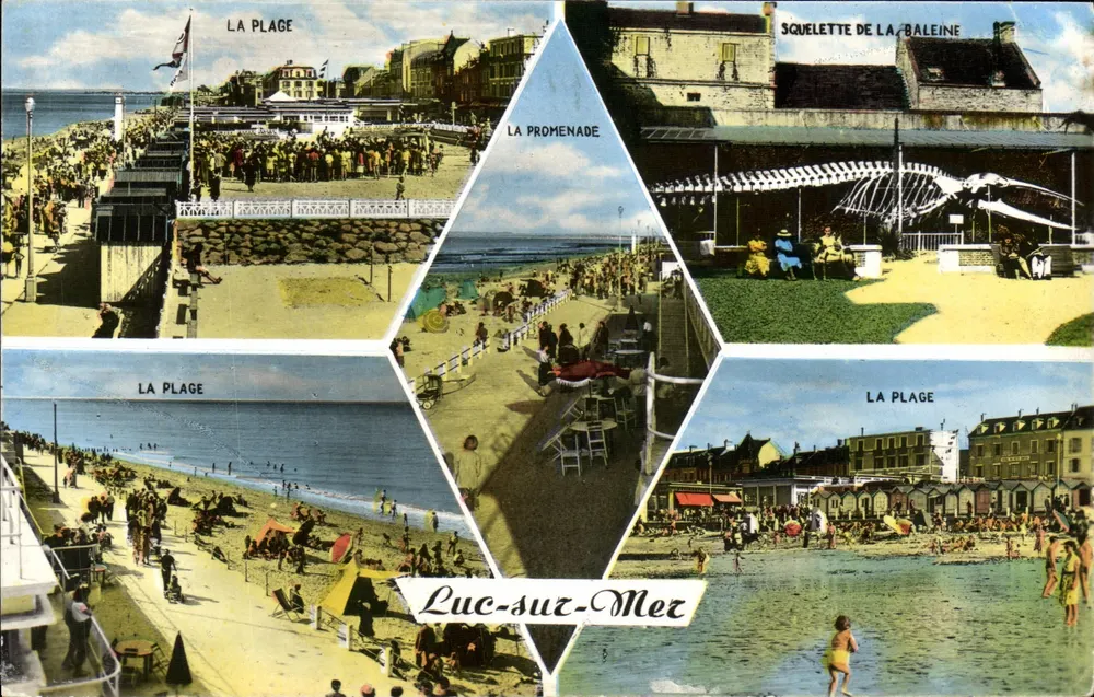 Luc-sur-Mer — Vista panorâmica da praia, promenade e esqueleto de baleia — Cie des Arts Photomécaniques - Frente