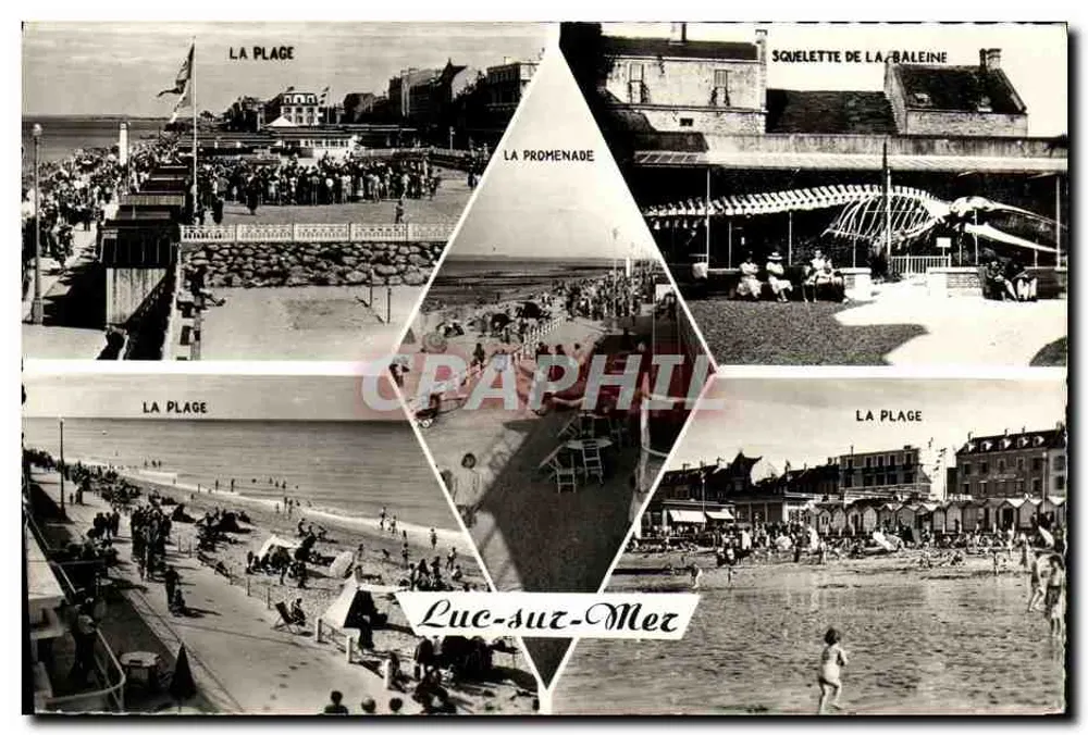 Luc-sur-Mer — Vista da praia, passeio e esqueleto de baleia — Cie des Arts Photomécaniques - Frente