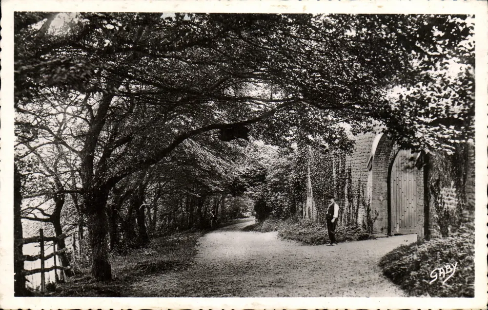 Chemin du Manoir d'Auberville — Villers-sur-Mer (Calvados) — SABY - Vorderseite