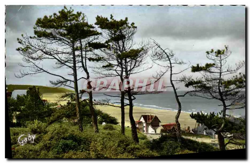 La Côte à travers les Sapins — Blonville-sur-Mer — Éditions Gaby - Recto
