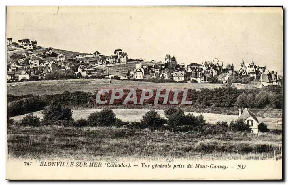 Blonville-sur-Mer (Calvados) — Allgemeine Ansicht vom Mont-Canisy — ND — Nr. 241 - Vorderseite