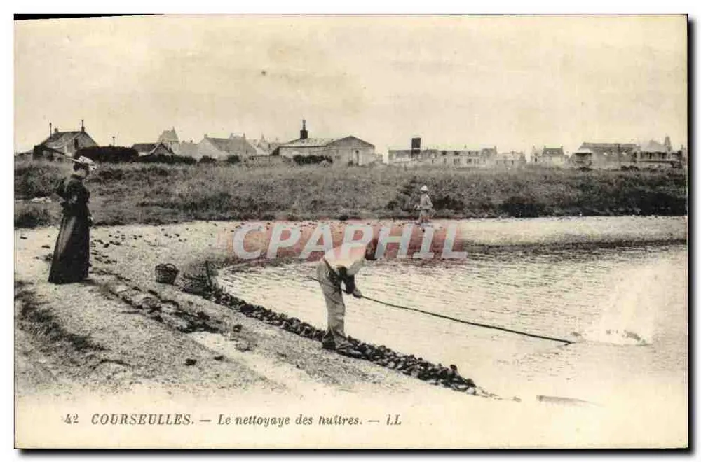 COURSEULLES — Il pulizia delle ostriche — I.L. - Recto
