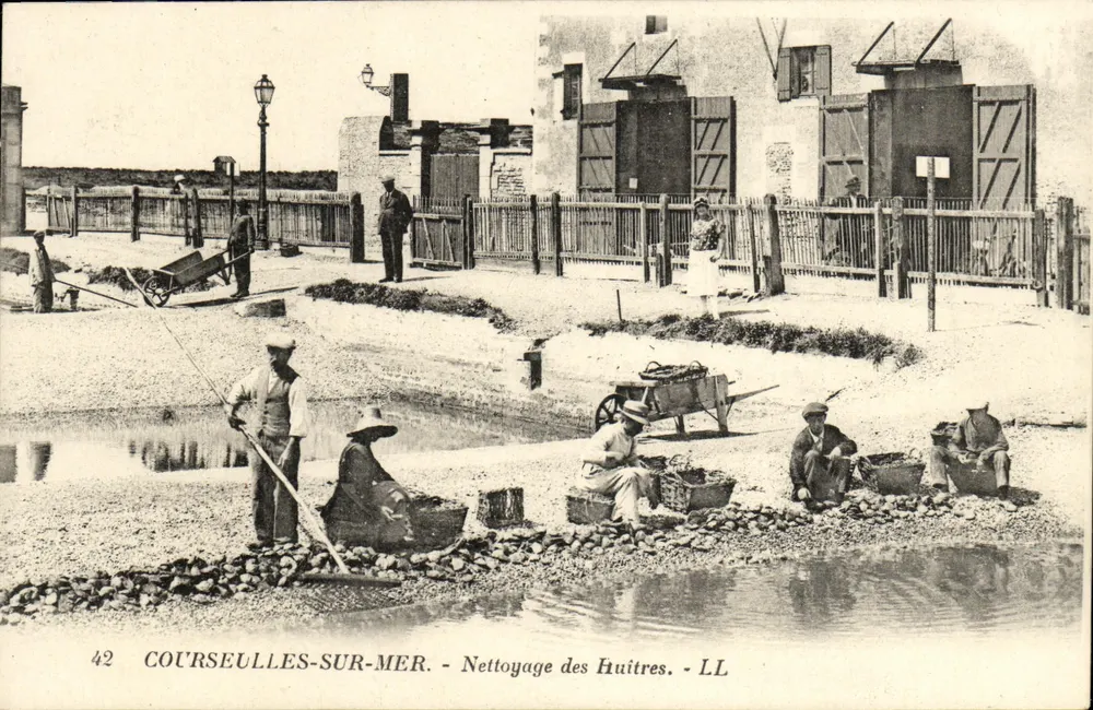 COURSEULLES-SUR-MER — Reinigung der Austern — LL - Vorderseite