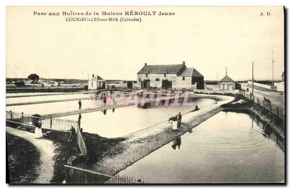 Oyster Park der HÉROULT Jeune — Courselles-sur-Mer (Calvados) — A. D. - Vorderseite