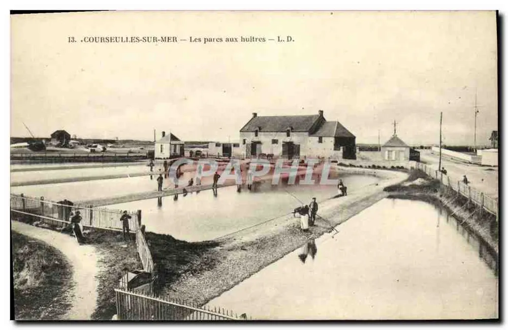 Courseulles-sur-Mer — Die Oyster Parks — L. D. - Vorderseite