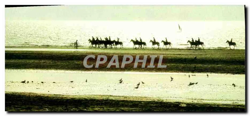 Reitpromenade am Strand — Deauville (Calvados) — IRIS / Leicagraphie - M. GUILLARD, Agentur SCOPE - Vorderseite