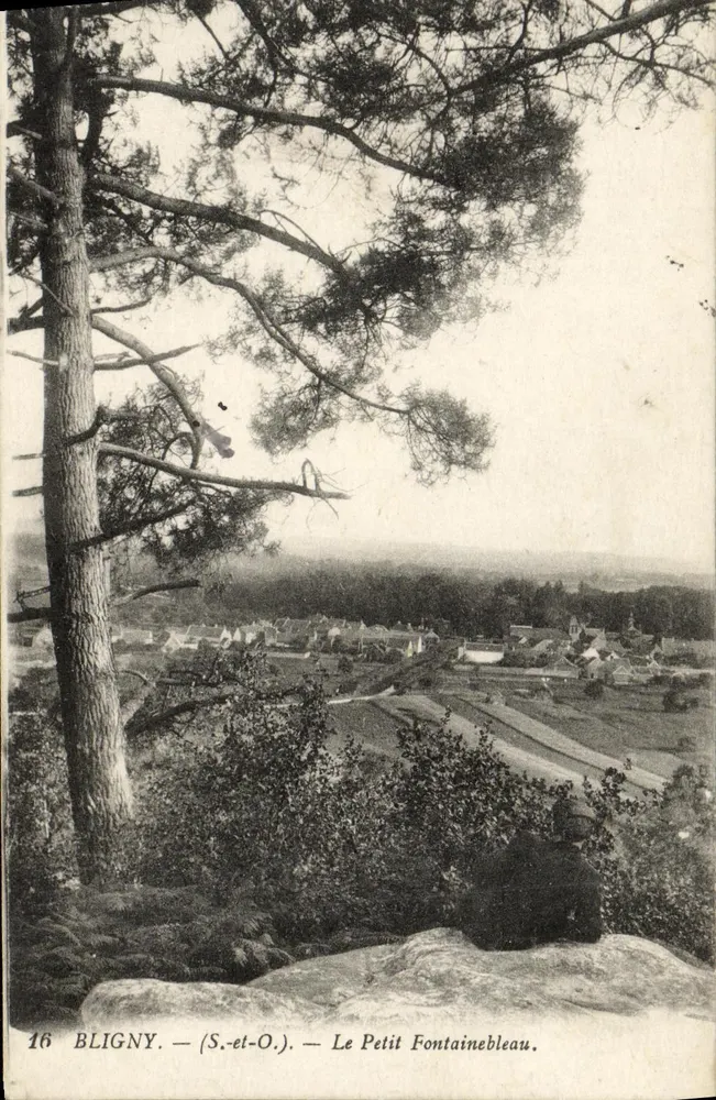 Bligny (S.-et-O.) — Le Petit Fontainebleau — vista panorâmica desde um pinheiro - Frente