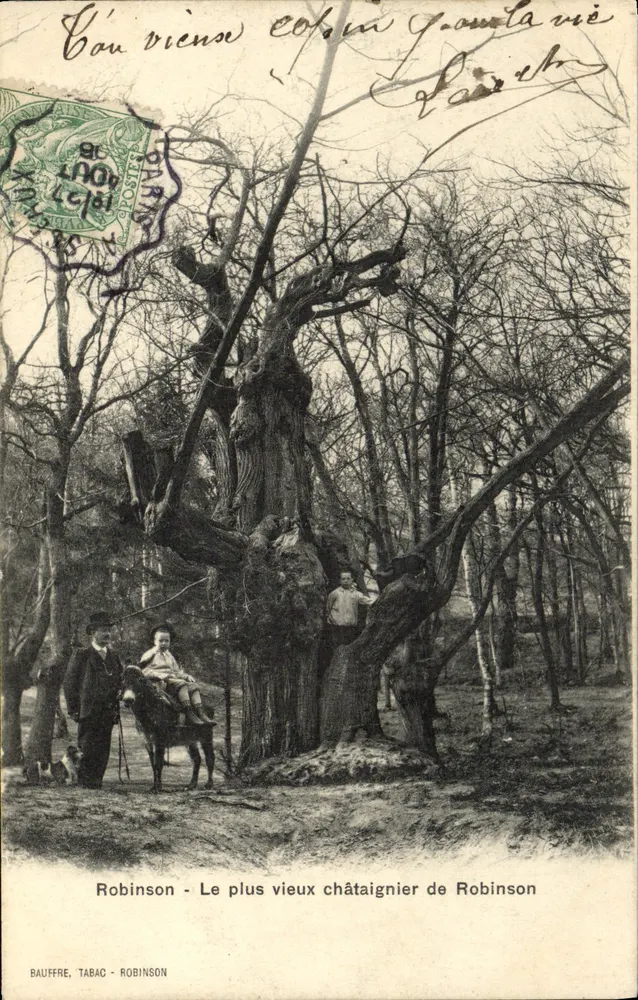 Robinson - Der älteste Kastanienbaum in Robinson — BAUFFRE, TABAC - ROBINSON - Vorderseite