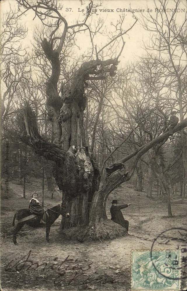 Der älteste Kastanienbaum von ROBINSON — Verlag: J. Lasch, Paris — Nr. 37 - Vorderseite