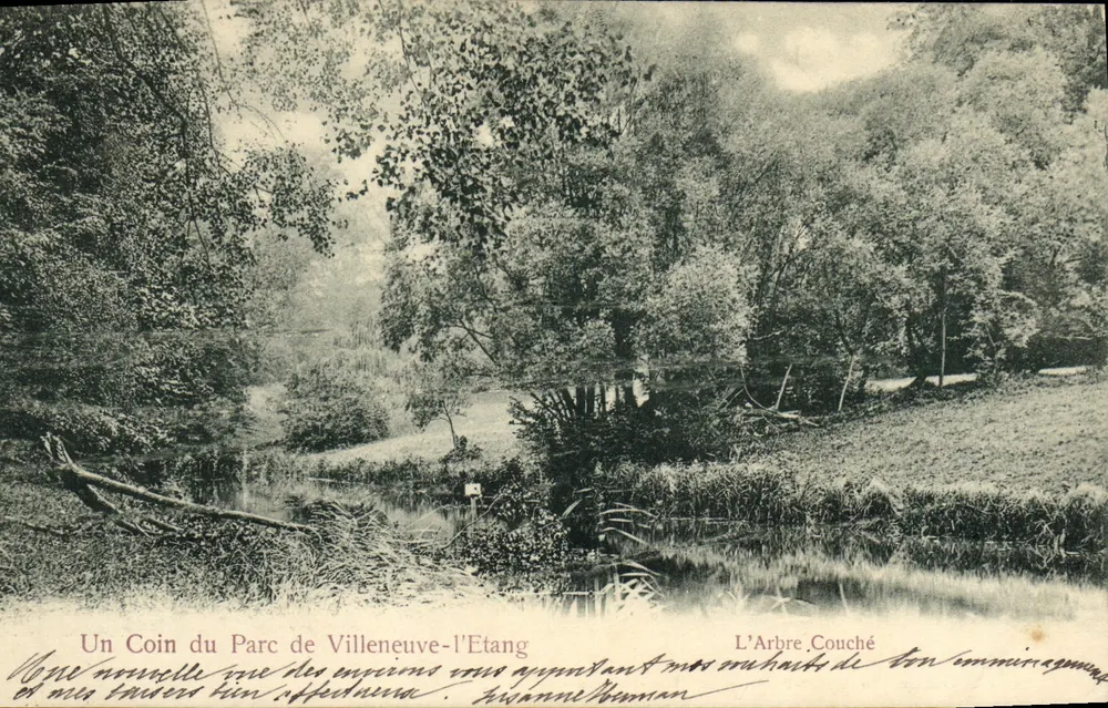 Ein Eckbereich des Parks von Villeneuve-l'Étang — Der umgefallene Baum — Édition Trianon, Nr. 1464 - Vorderseite