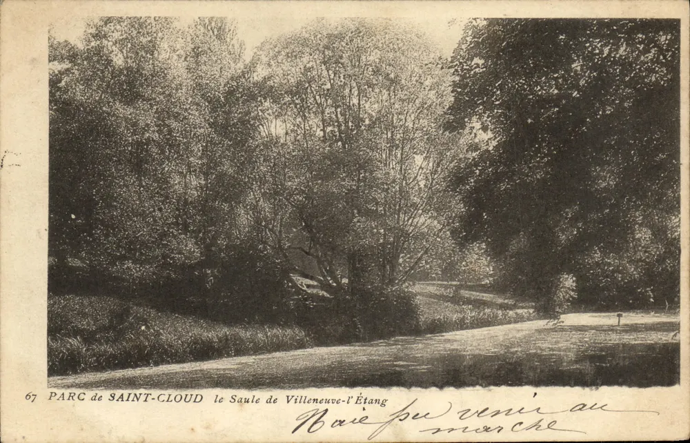 PARC de SAINT-CLLOUD — der Weidenbaum von Villeneuve-l'Étang — C. M. Edit. à St-Cloud n°67 - Vorderseite