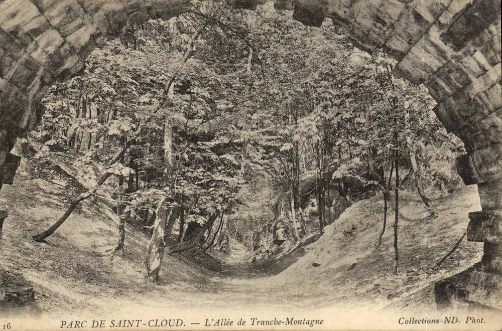 Parc de Saint-Cloud — A Avenida de Tranche-Montagne — Coleções ND. Fot. n°16 - Frente