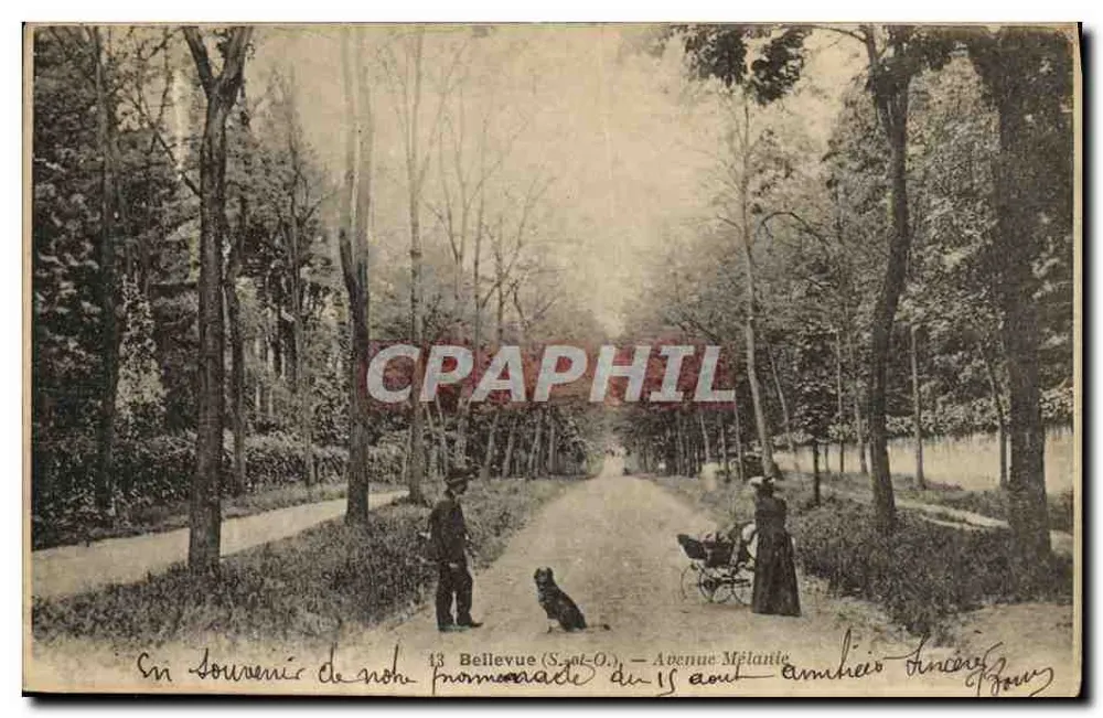 Avenue Mélanie, Bellevue (Sceat-O.) — Verleger F. Polyderat, Nr. 13 - Vorderseite