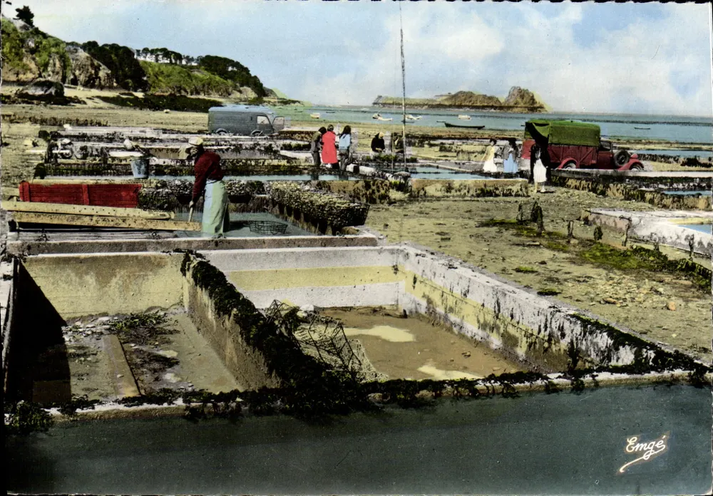 Costa de Émeraude — Os Parques de Ostras — Emge - Frente