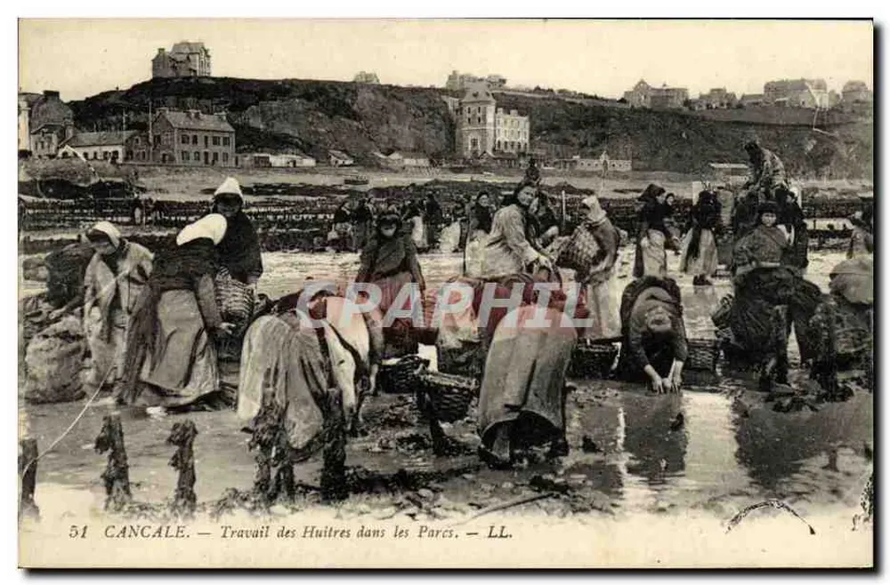 Cancale — Oyster Work in the Parks — LL. - Vorderseite