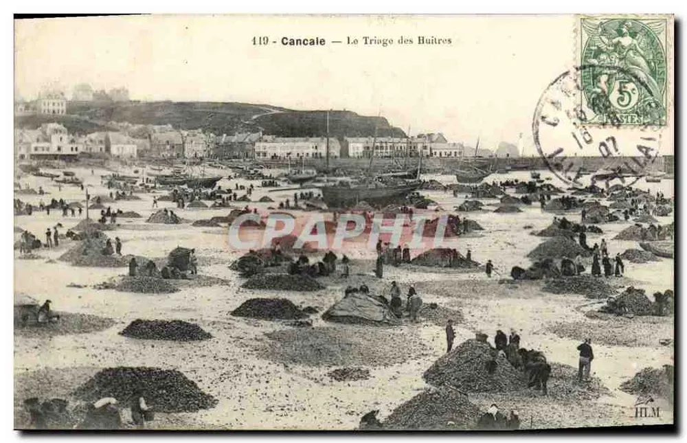Cancale — Ansicht des Austernsortierens — H. Le Maillo, Verleger, Nr. 419 - Vorderseite