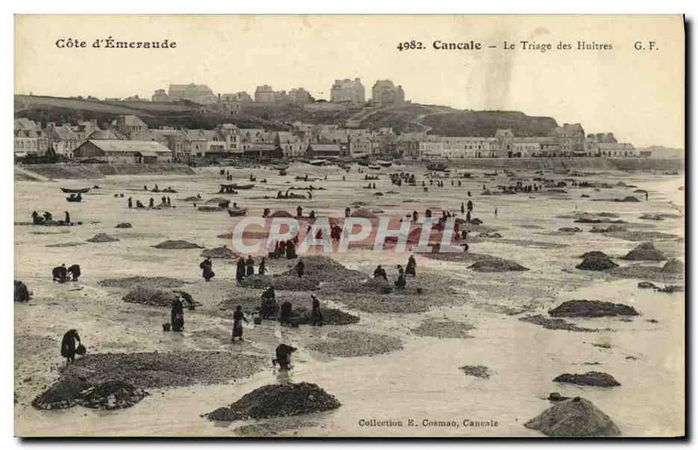 Cancale — Der Oyster-Sortierer — G.F. n°4982 - Vorderseite