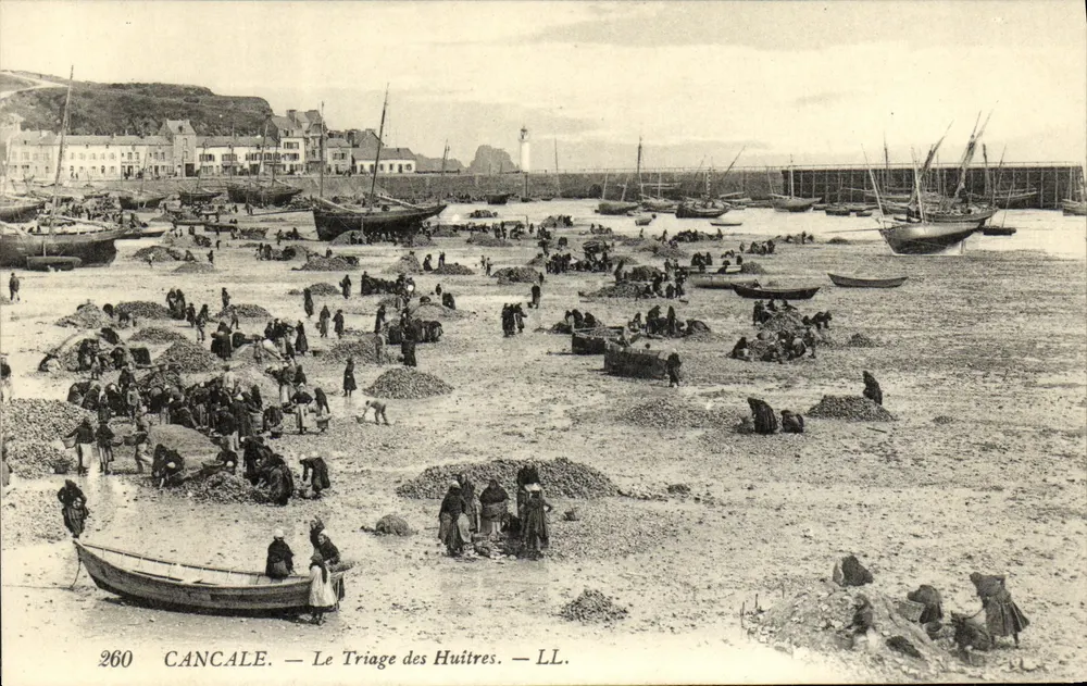 Cancale — Ansicht des Austernsortierens — LL. n° 260 - Vorderseite