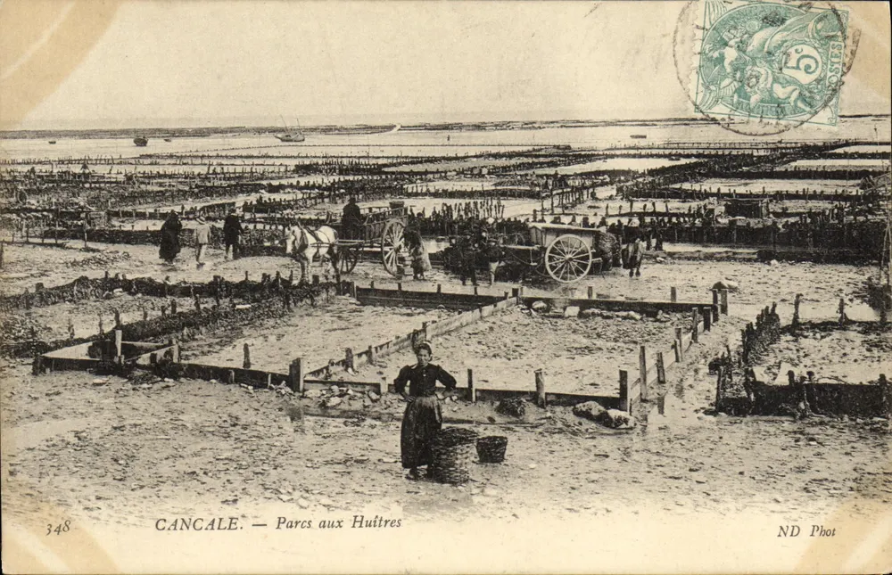 Cancale — Parco delle Ostie — ND Phot, n°348 - Recto