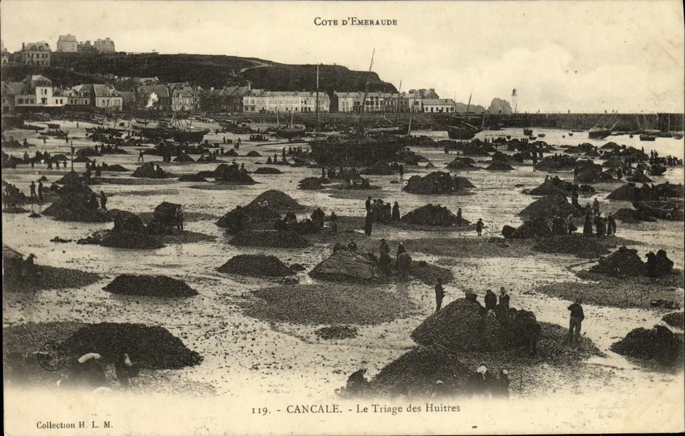 Cancale — Das Schälen der Austern — Sammlung H. L. M. Nr. 119 - Vorderseite