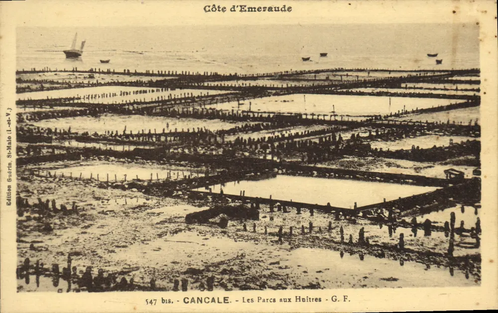 Cancale - Die Oyster Parks - Côte d'Emeraude - Edition Guérin, St-Malo (n° 547 bis) - Vorderseite
