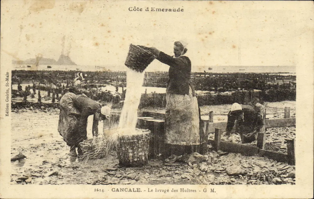 Côte d'Emeraude — Le lavage des Huitres à Cancale — Édition Guérin, Si-Malo, n° 2614 - Vorderseite