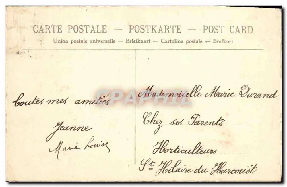 Dol — Der Bassin — Das Haus der Pf aids und das Rathaus - Rückseite