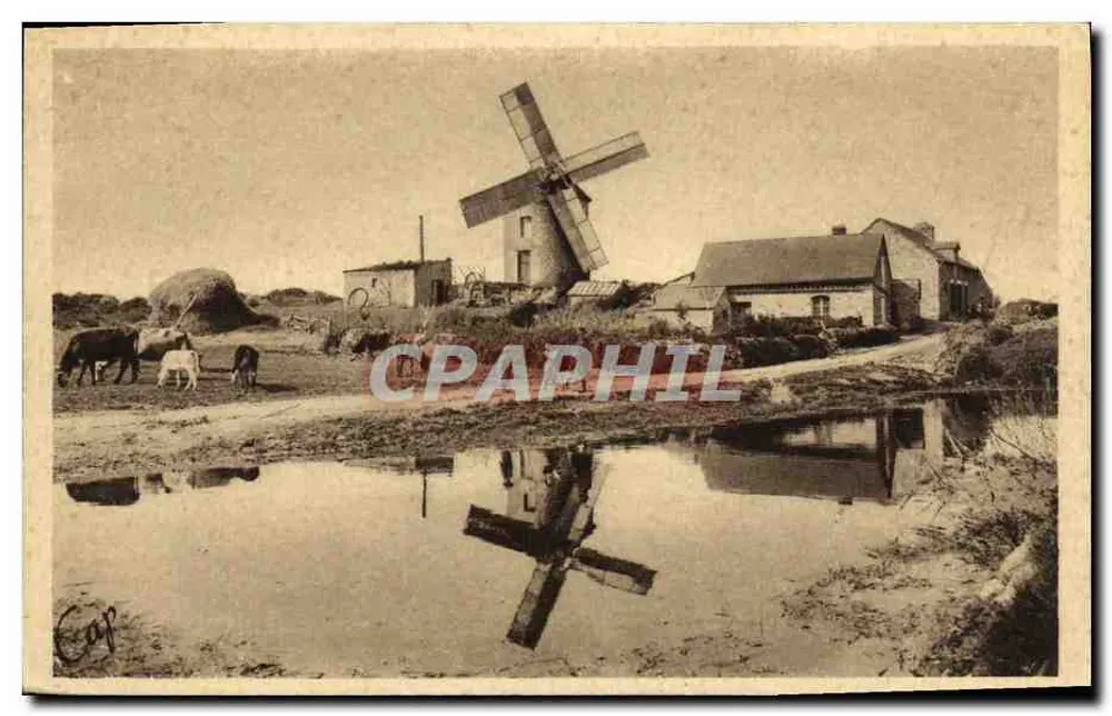 Der Mont-Dol - Die Mühle des Tertre — Dol-de-Bretagne — Druck von U.C.J.G. - Vorderseite