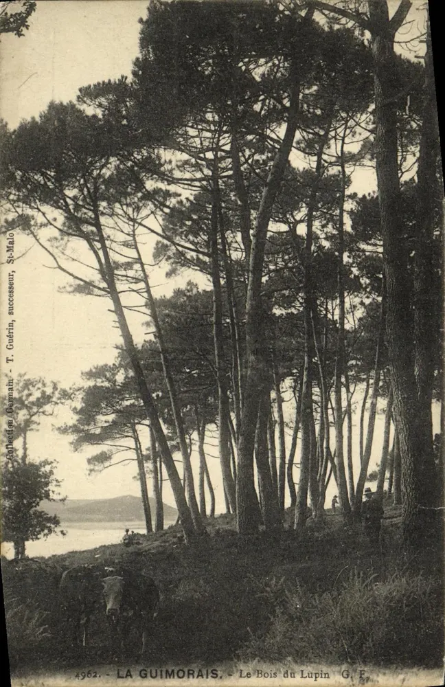 La Guimorais — Der Lupin Wald — T. Guérin, Nachfolger, St-Malo - Vorderseite
