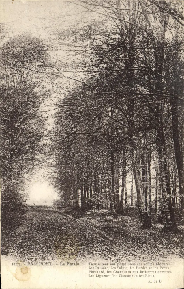 Paimpont - Las Futaie — X. de B. — nr 2127 - Awers