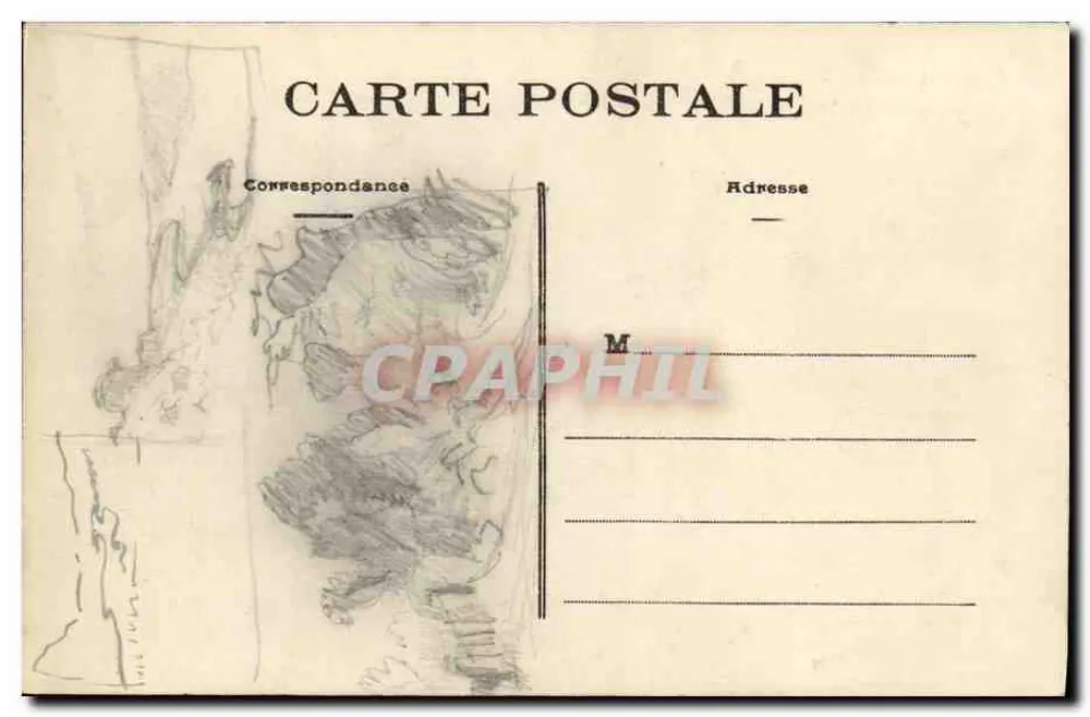 Rennes (Ille-et-Vilaine) — Der Botanische Garten, Der Große Zeder — Phototypie Vassellier - Rückseite