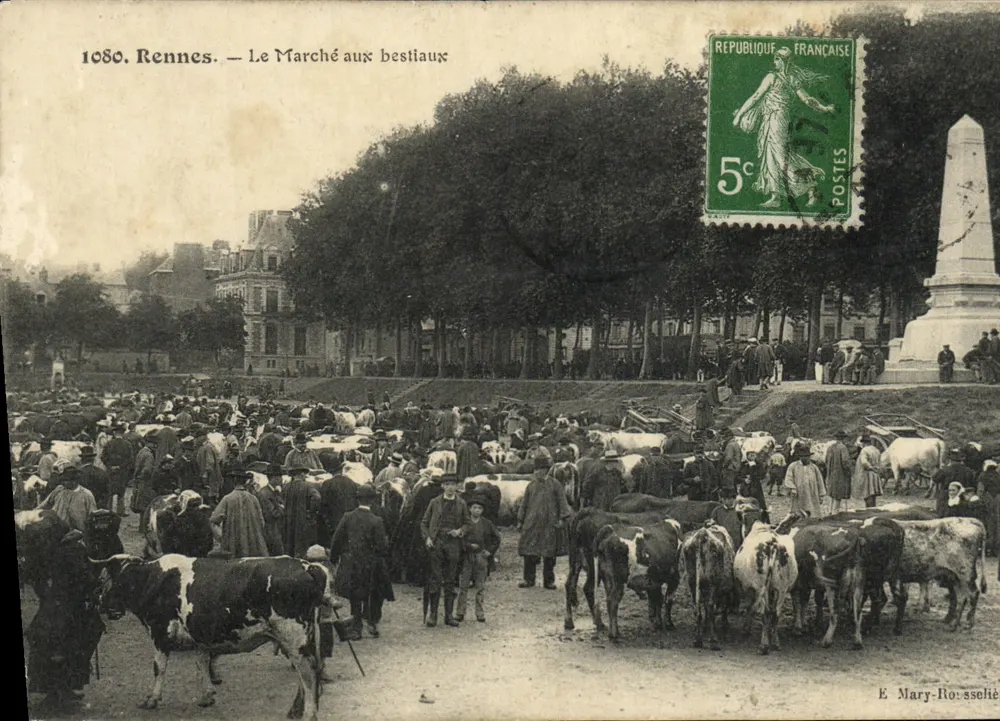 Rennes — Der Viehmarkt — É. Mary-Rosselé - Vorderseite
