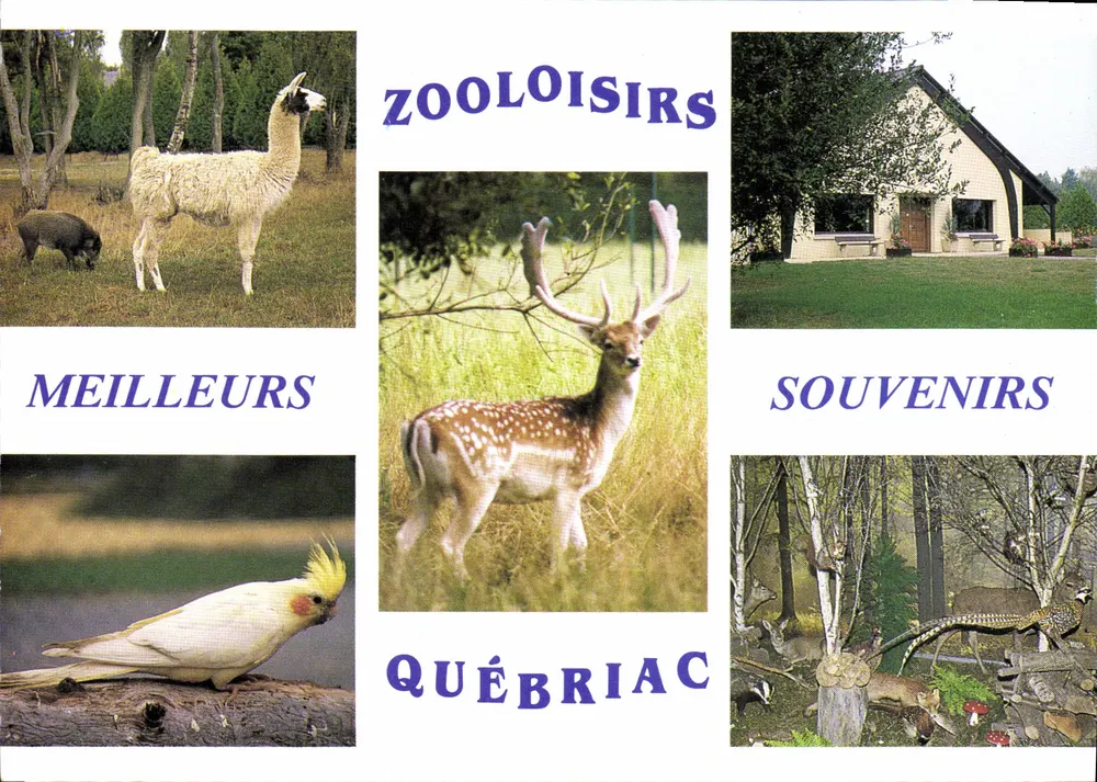 Zoo Loisirs — Québriac — Erinnerungen - Vorderseite