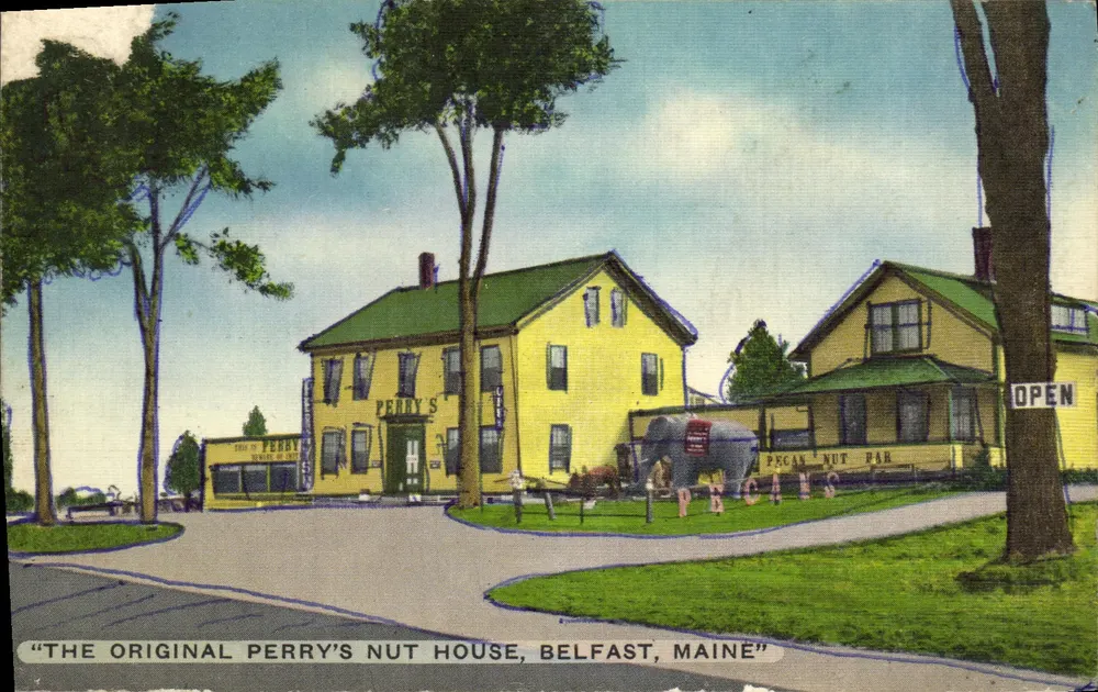 Perry's Nut House, Belfast, Maine — wydawca E. B. Thomas, n° E-9641 - Awers