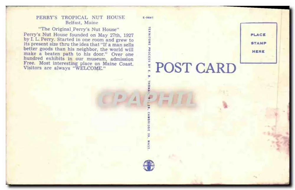 Perry's Nut House, Belfast, Maine — wydawca E. B. Thomas, n° E-9641 - Rewers