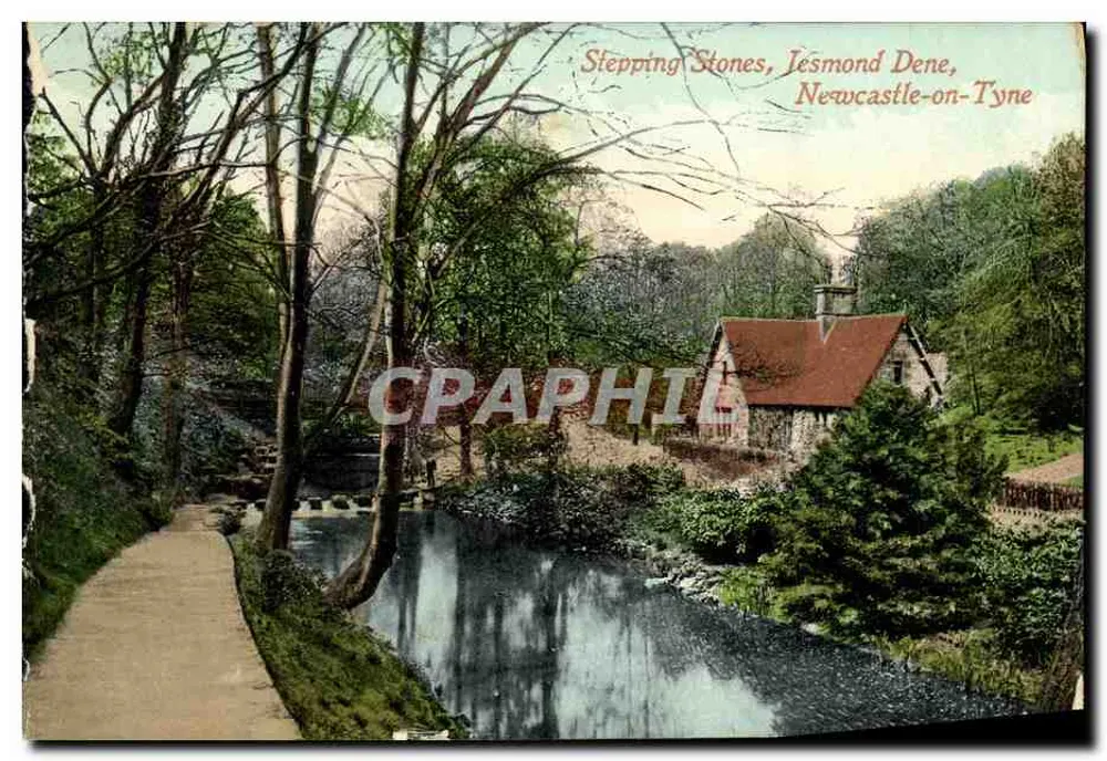 Stepping Stones, Jesmond Dene, Newcastle-on-Tyne — Blick auf den Fluss mit Weg und Hütte, Verlag Valentine's Series - Vorderseite
