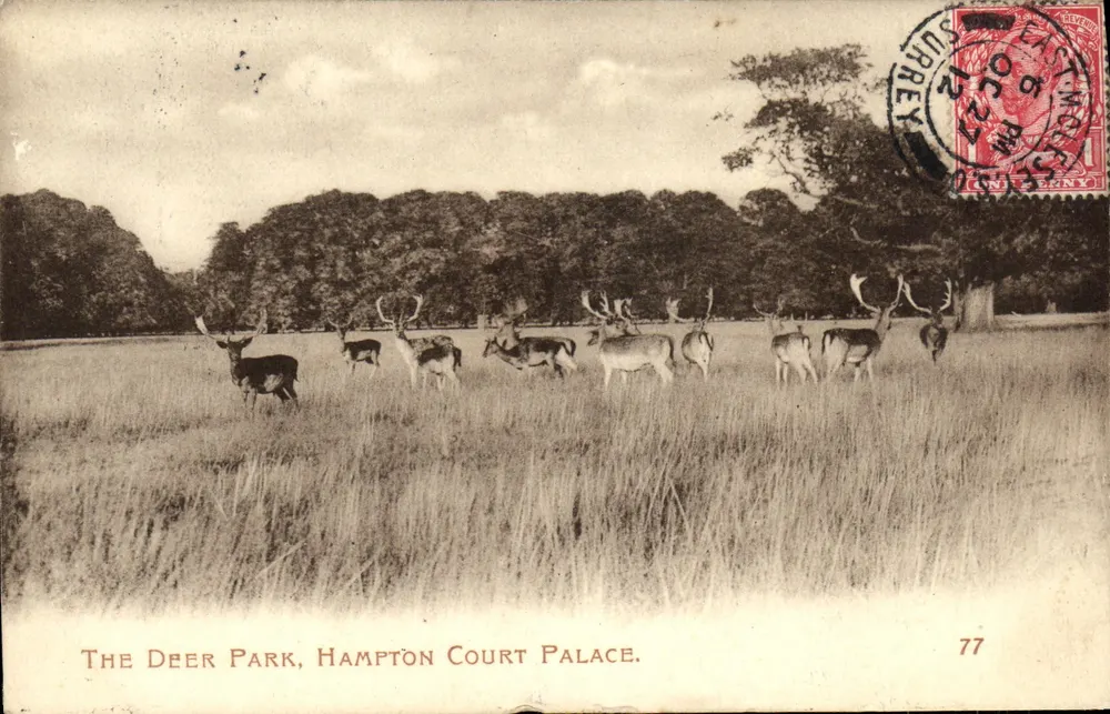 The Deer Park, Hampton Court Palace — éditeur Morland Studio, n° 77 - Frente