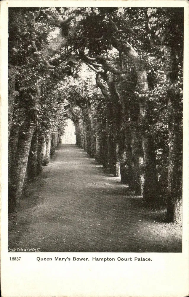 Queen Mary's Bower, Hampton Court Palace — Foto Gale & Polden, n° 12587 - Frente