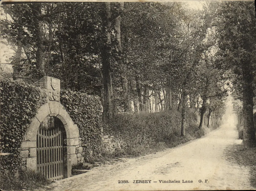 JERSEY — Vinchelez Lane — G.F. — n°2388 - Frente